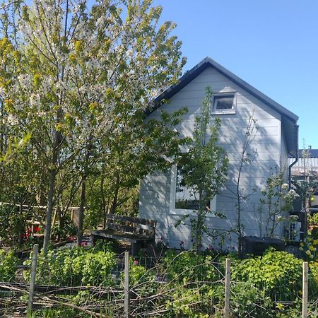Tuinhuisje In Het Groen Almere Dış mekan fotoğraf