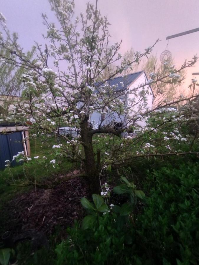 Tuinhuisje In Het Groen Almere Dış mekan fotoğraf