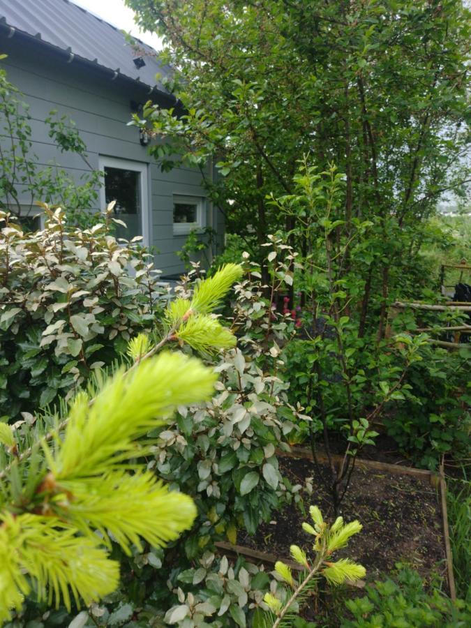 Tuinhuisje In Het Groen Almere Dış mekan fotoğraf