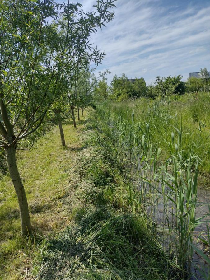 Tuinhuisje In Het Groen Almere Dış mekan fotoğraf