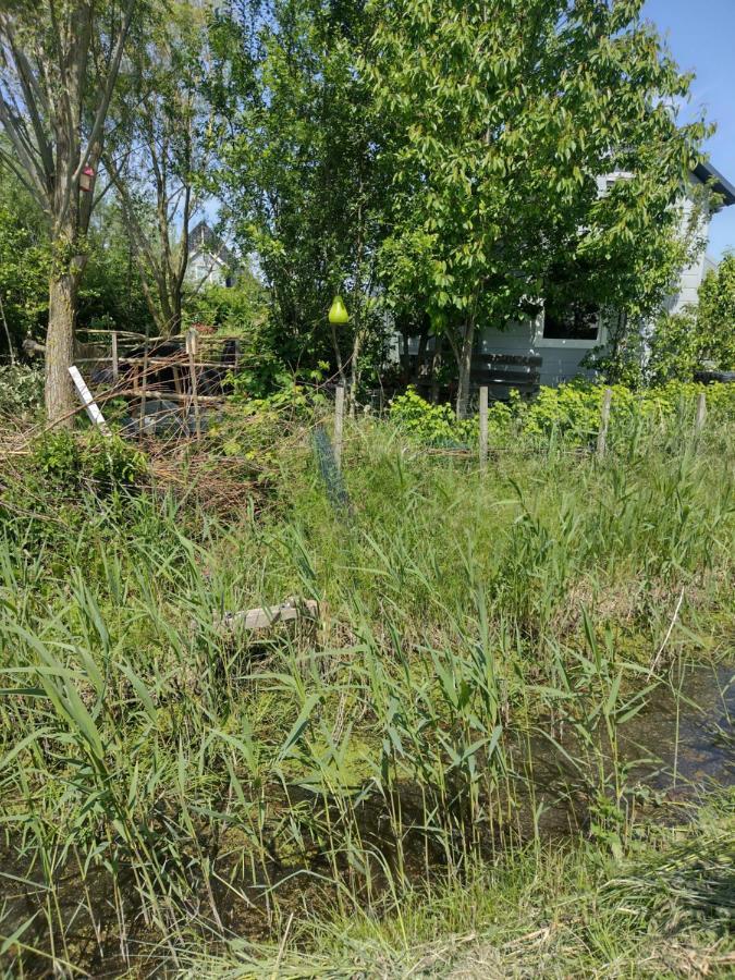 Tuinhuisje In Het Groen Almere Dış mekan fotoğraf